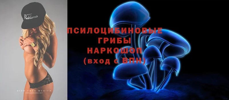 Псилоцибиновые грибы Psilocybe  Вельск 